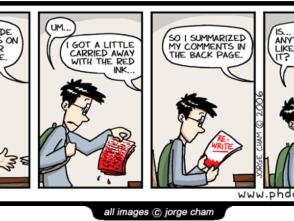 “I came, but can I see?” X: Feedback sandwich vs. Feedback salad… (#NWOVidi2025diaries)