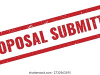 “I came, but can I see?” XIII: Proposal submitted!(#NWOVidi2025diaries)