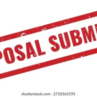 “I came, but can I see?” XIII: Proposal submitted!(#NWOVidi2025diaries)