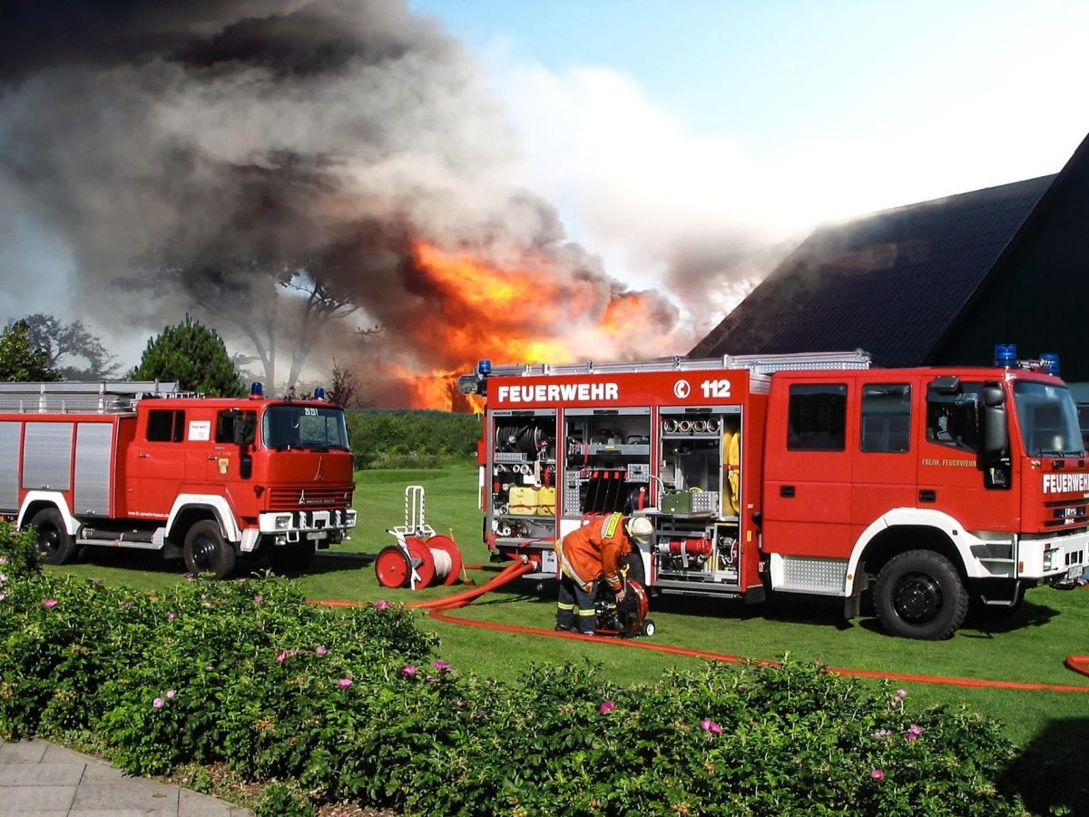 “I came, but can I see?” XII: Firefighting while “killing my darlings”… (#NWOVidi2025diaries)